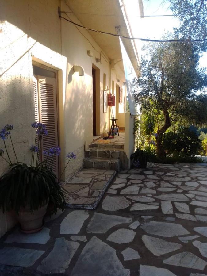 Anemos Studios Vasilias  Exteriör bild
