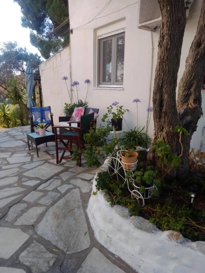 Anemos Studios Vasilias  Exteriör bild