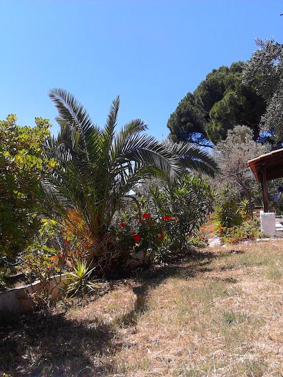 Anemos Studios Vasilias  Exteriör bild